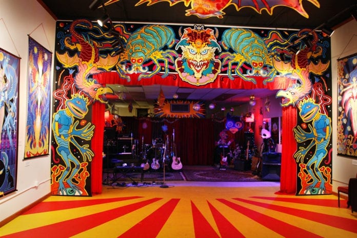 Ready to Bounce Back