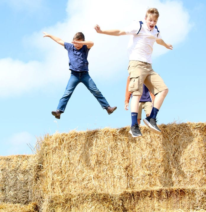 Fun on the Farm