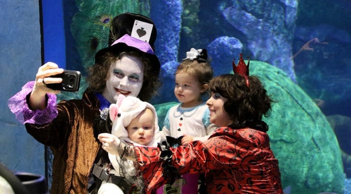 Virtual Runs and Halloween Scares