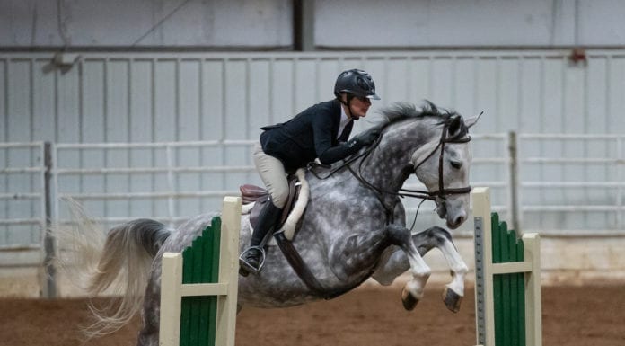 Adrenaline-Pumping Action