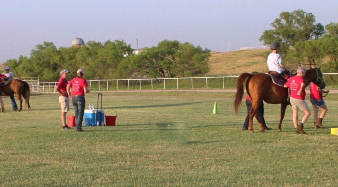 Hope and Healing with Horses
