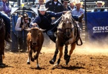 Wrestling, Hockey and Horses
