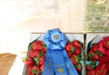 Music, Barbecue and Chalk Art