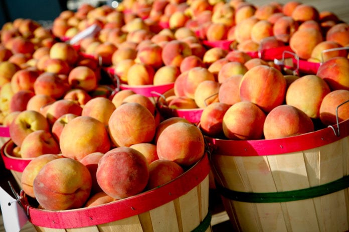 Fourth of July, Plus Dogs, Fiestas and Peaches