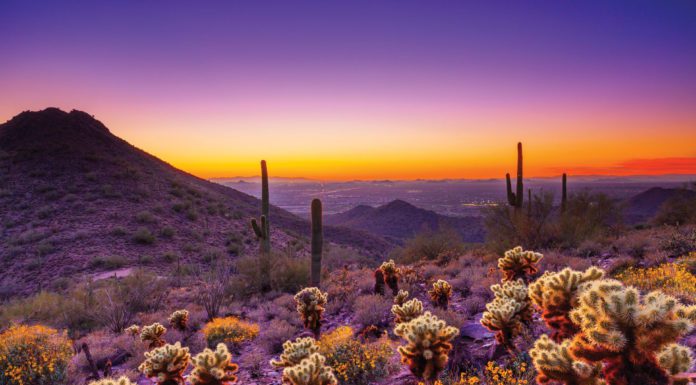 The Stunning Suburb of Scottsdale