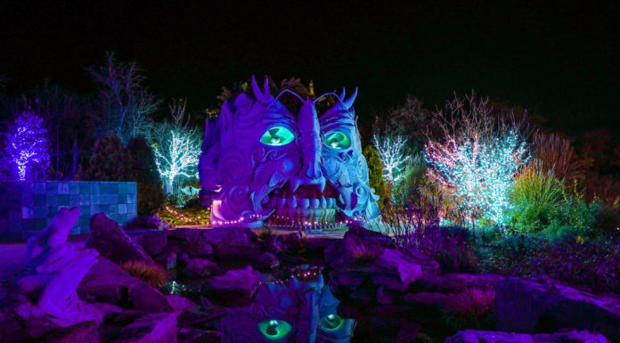 Finding Frosty Flora