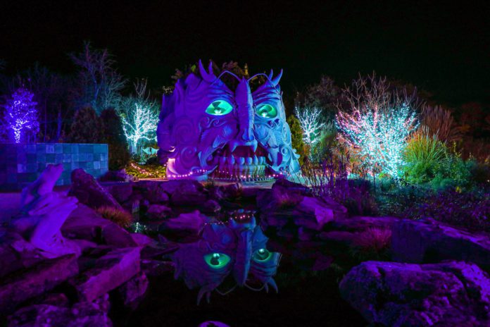 Finding Frosty Flora