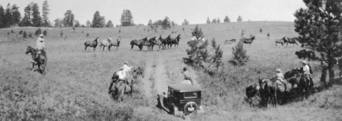 A Little Bit of Everything