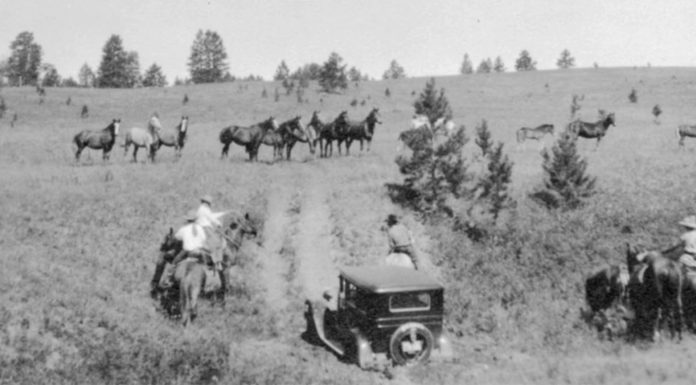 A Little Bit of Everything