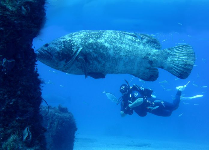 Exploring the Depths