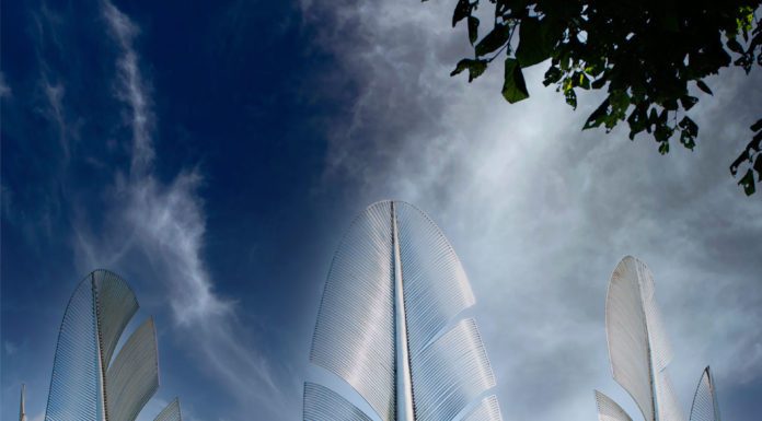 Unity Across the Ocean