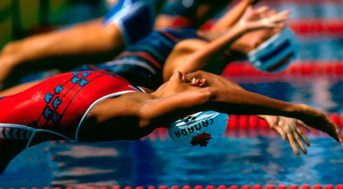 Something for Everyone