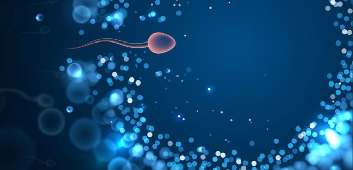 Reproductive Health 101