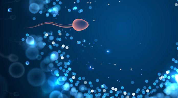 Reproductive Health 101