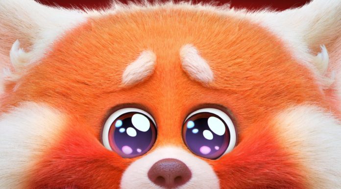 Something for Everyone