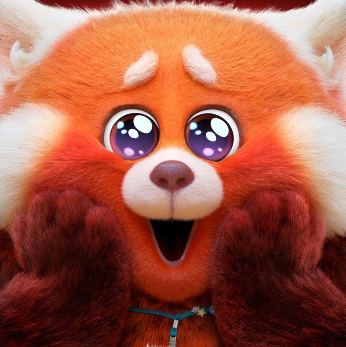 Something for Everyone