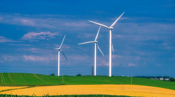 Sustainability: People, Profit and Planet