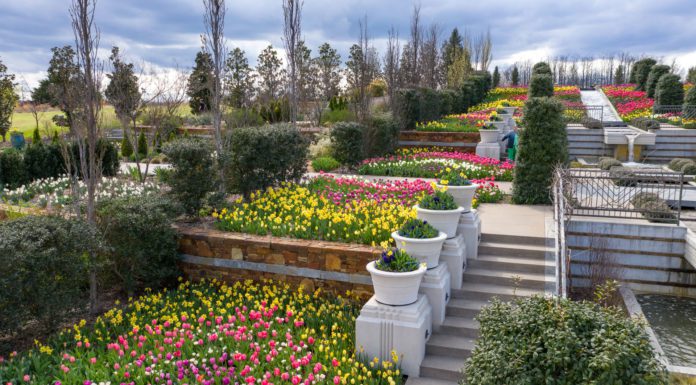 Fairs, Festivals, Runs and More