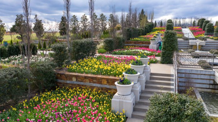 Fairs, Festivals, Runs and More