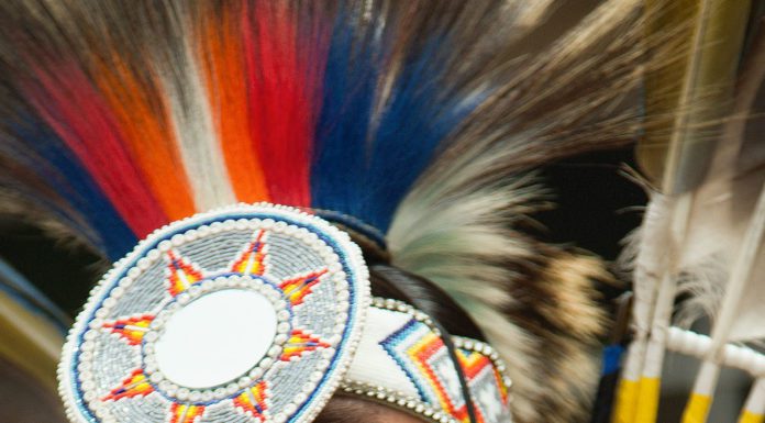 Music, Festivals, Oh My!