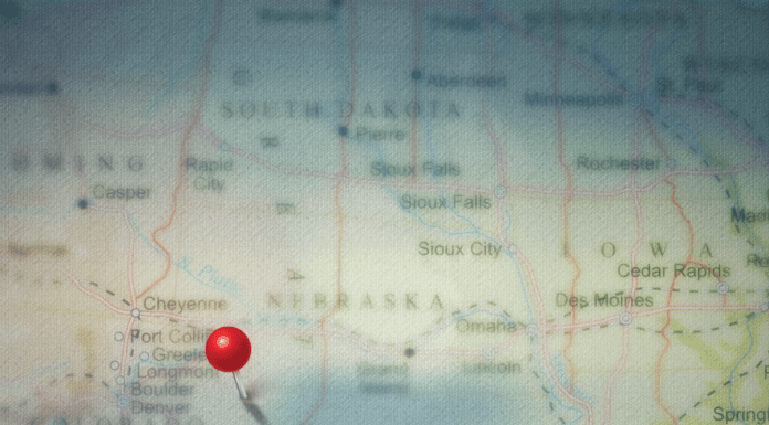 Summertime Adventures