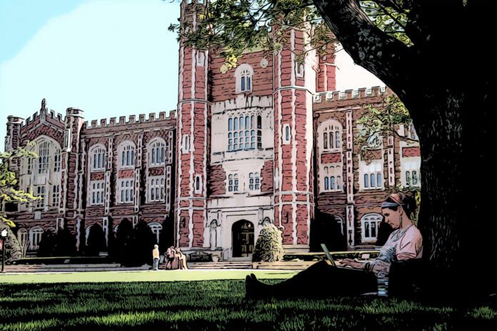 Diving into Education