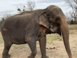 Welcome to the Circus