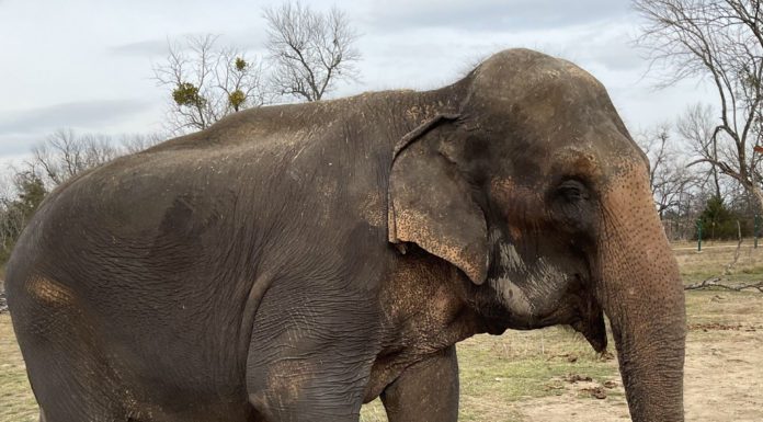 Welcome to the Circus