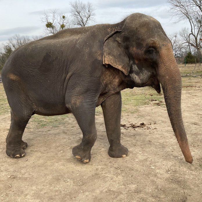 Welcome to the Circus