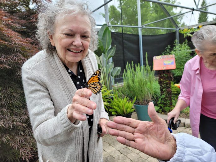 Embracing the Active Years