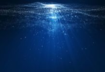 FACES OF OKLAHOMA 2022