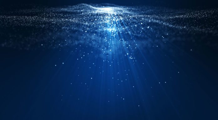 FACES OF OKLAHOMA 2022