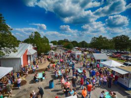 Fall Festival Preview