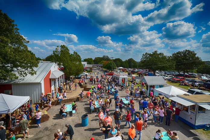 Fall Festival Preview