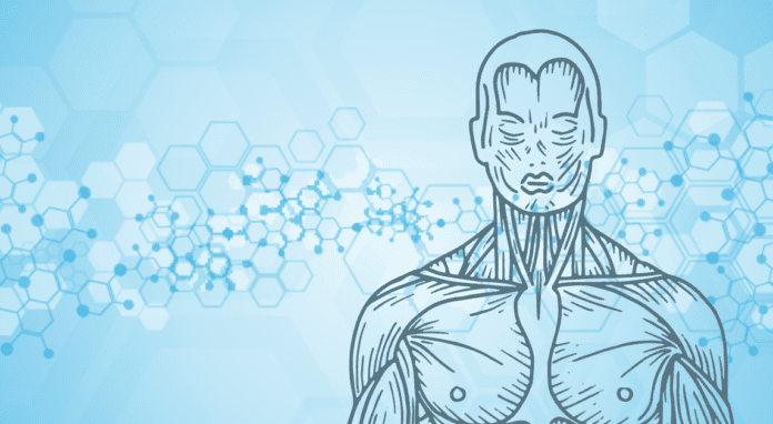 The Dynamics of Full-Body Health