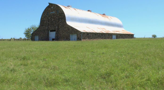 Brimming with Stories