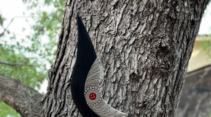 A Bird of Resilience