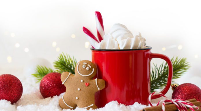 Home for the Holidays