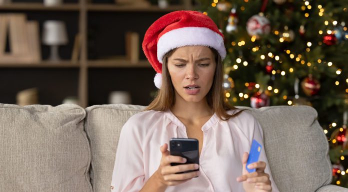 Beware of Holiday Fraudsters