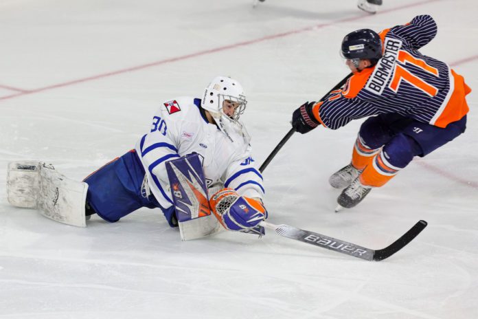 Basketball, Hockey and Horses