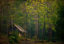 February Films Beckon