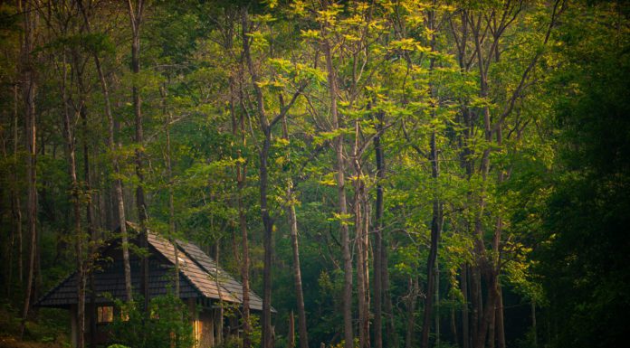 February Films Beckon