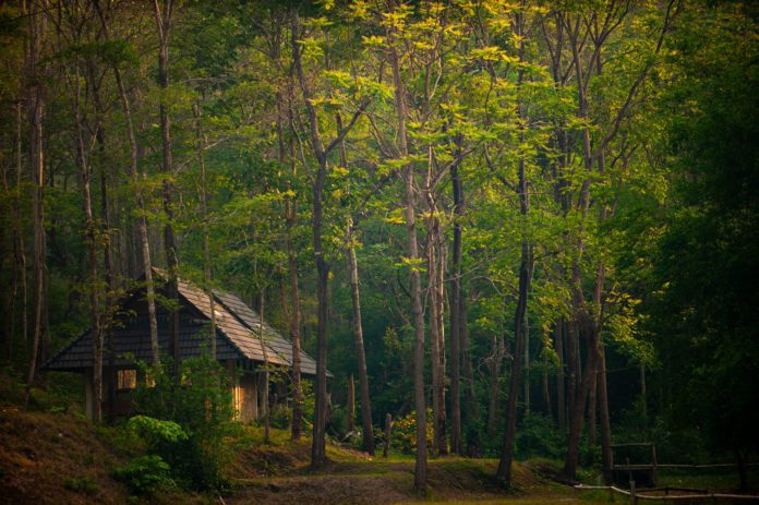 February Films Beckon