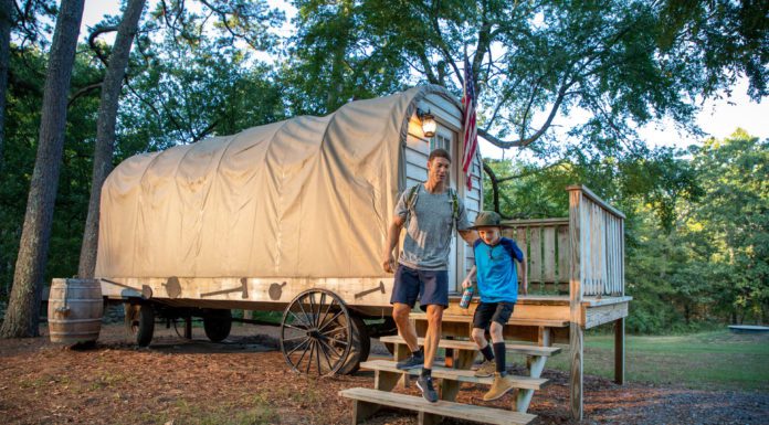 Springtime Surprises