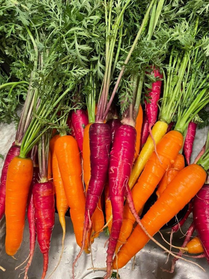 Support Local, Eat Local