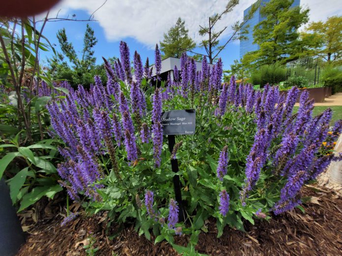 Outdoor Enrichment Awaits