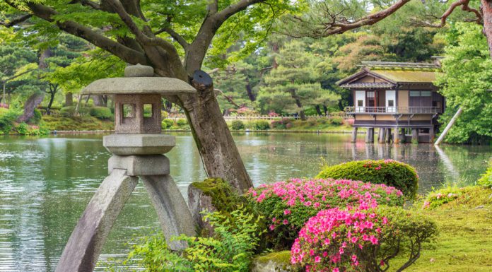 A City of Art and Elegance