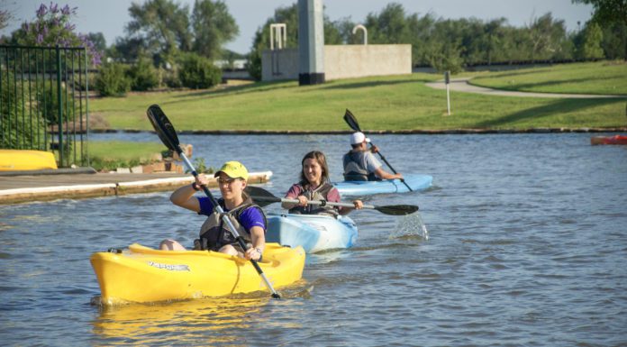 The Dog Days of Summer