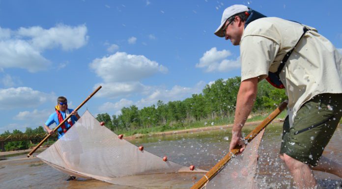 Protecting the State’s Vulnerable