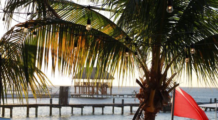 Frolicking in Roatán The island of Roatán, off the coast of Honduras, welcomes tourists from around the globe.